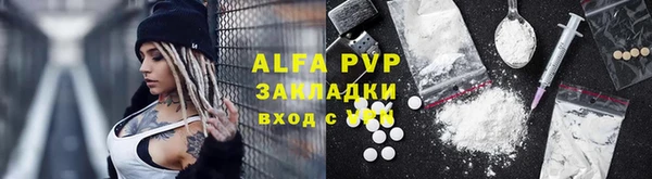 сатива Волоколамск