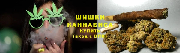 сатива Верхний Тагил