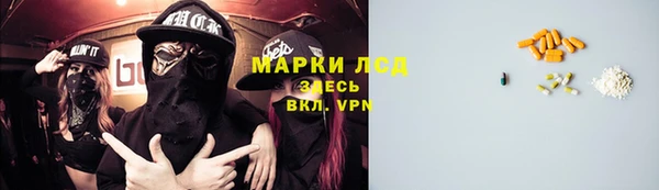 сатива Верхний Тагил