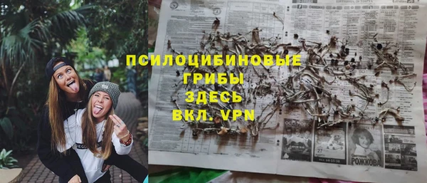 сатива Верхний Тагил