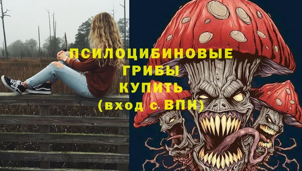 ешки Верея
