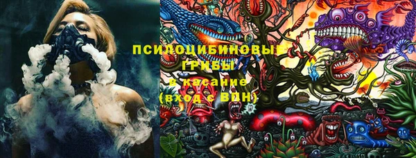 ешки Верея